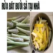 Tự làm nước rửa bát vỏ bưởi sả- Sạch bóng và mềm da tay