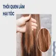 Chăm sóc tóc đúng cách để hạn chế gãy rụng và nuôi dưỡng nang tóc