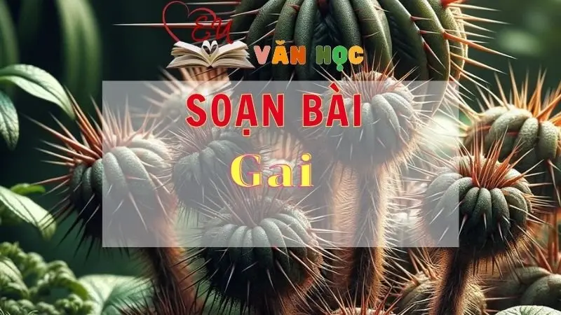Soạn bài Gai - Sách Chân trời sáng tạo lớp 11