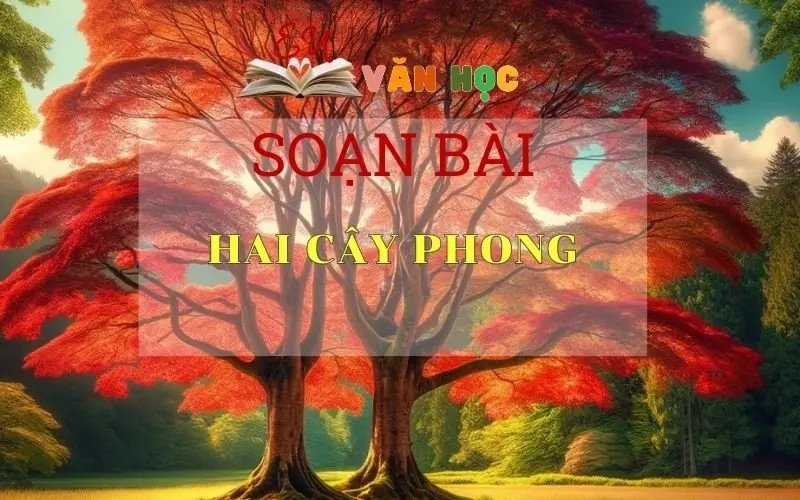 Soạn bài Hai Cây Phong - Sách Chân Trời Sáng Tạo Ngữ Văn 6 ( Tập 2)