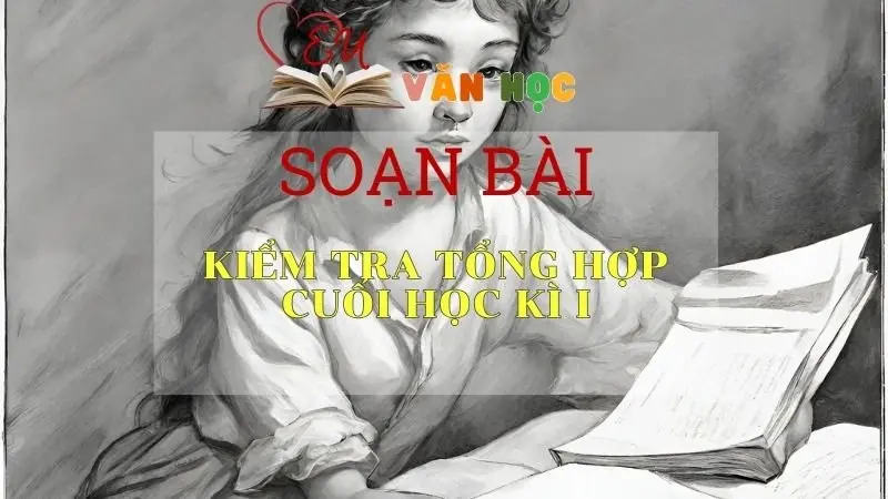 Soạn bài Kiểm tra tổng hợp cuối học kì I - Ngữ Văn Lớp 11
