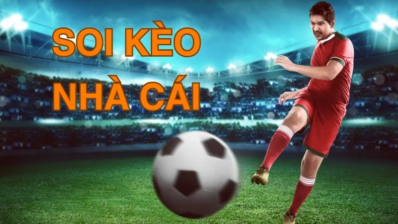 Hướng dẫn soi kèo nhà cái chi tiết - Đảm bảo thắng lớn! 
