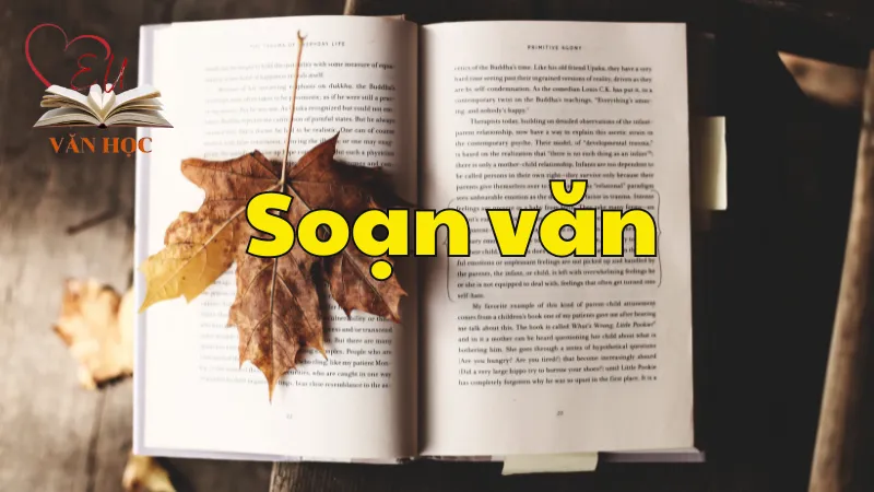 Soạn bài Thách thức đầu tiên: Đọc để trưởng thành - Ngữ văn 9 tập 2 - Kết nối tri thức