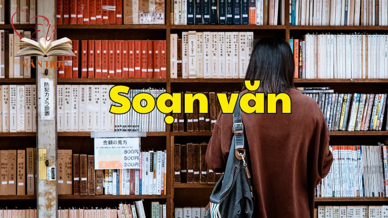 Soạn bài Về đích: Ngày hội với sách Phát triển văn hóa đọc - Tiến hành một cuộc phỏng vấn về sách, văn hóa đọc, vấn đề gợi ra từ cuốn sách và những trải nghiệm đọc, viết trong dự án văn học - lịch sử tâm hồn - Ngữ văn 9 tập 2 - Kết nối tri thức