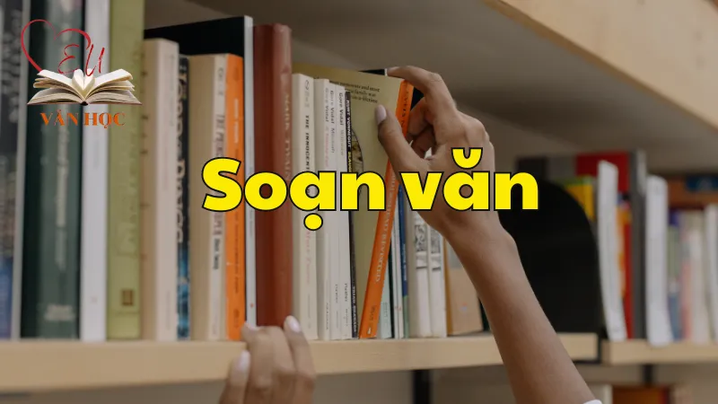 Soạn bài Ôn tập học kì 2 phần B- Ngữ văn 9 tập 2 - Kết nối tri thức