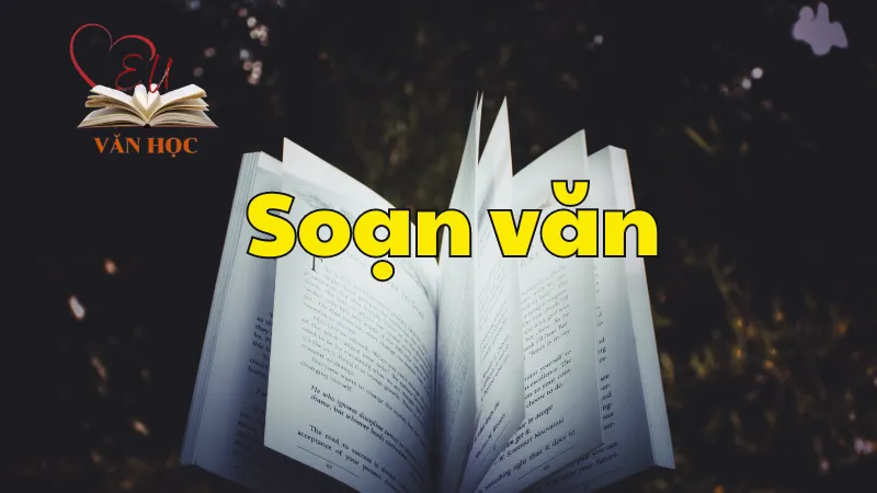 Soạn bài Thực hành tiếng Việt trang 114 - Ngữ văn 12 tập 2 - Kết nối tri thức