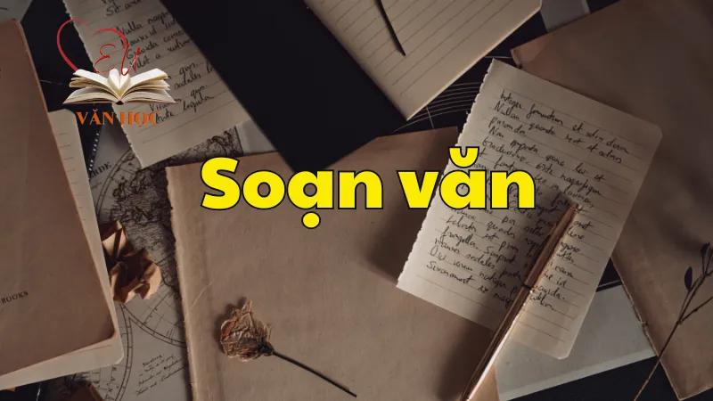 Soạn bài Thực hành tiếng Việt trang 114 - Ngữ văn 12 tập 1 - Kết nối tri thức