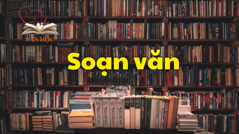 Soạn bài Thực hành tiếng Việt trang 78 - Ngữ văn 12 tập 2 - Kết nối tri thức