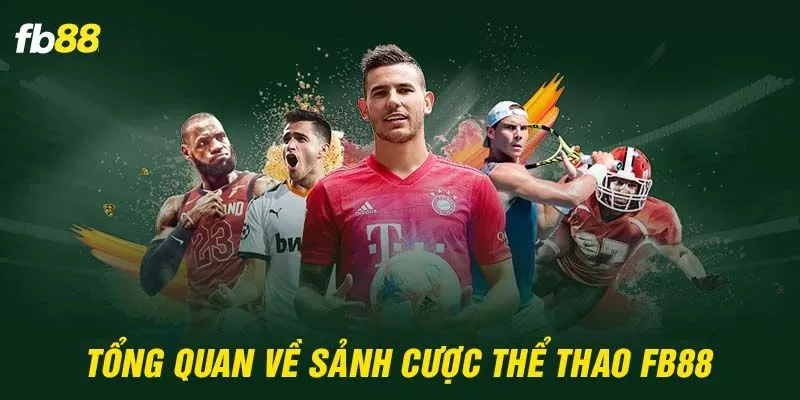 Chinh phục hơn 500 trận đấu mỗi tuần cùng thể thao FB88   