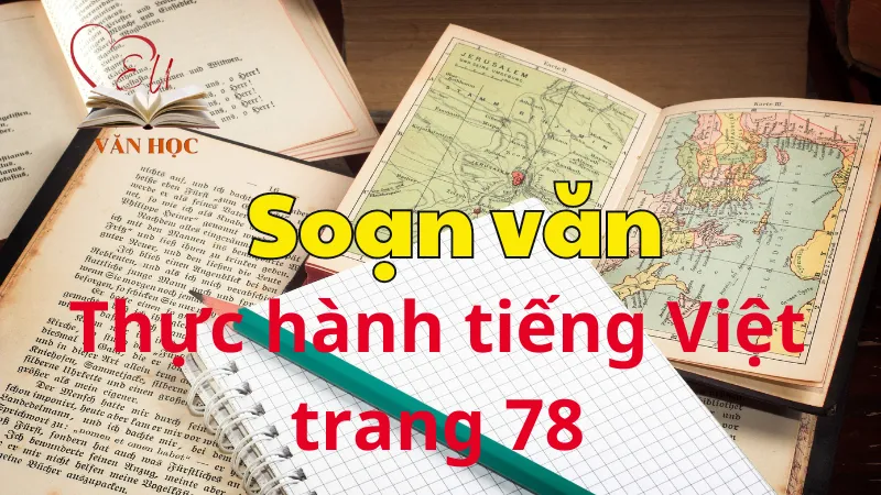 Soạn bài Thực hành tiếng Việt trang 78 - Ngữ văn 12 tập 1 - Kết nối tri thức