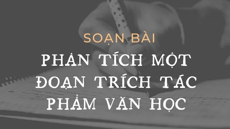 Soạn bài Phân tích một đoạn trích tác phẩm văn học - Ngữ văn 9 - Cánh diều