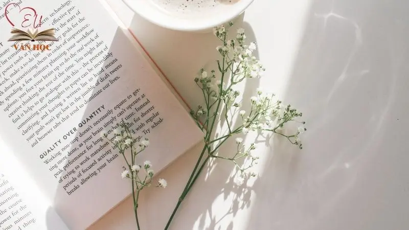 Soạn bài Tri thức Ngữ văn trang 12 - 2 Soạn bài Tri thức Ngữ văn trang 12 - 2