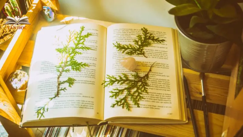 Hình ảnh chiếc lá cuối cùng trên bức tường – Biểu tượng của hy vọng và lòng kiên cường Hình ảnh chiếc lá cuối cùng trên bức tường – Biểu tượng của hy vọng và lòng kiên cường