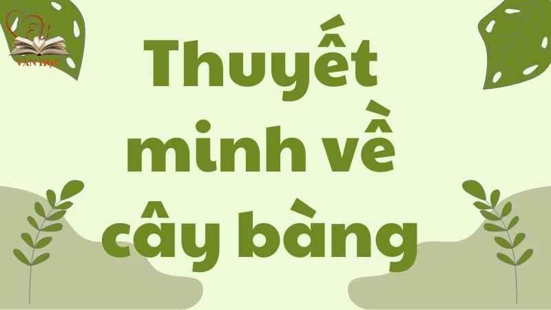 Bài văn mẫu lớp 9: Thuyết minh về cây bàng chi tiết nhất