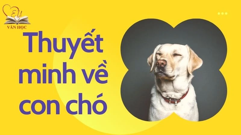 Tổng hợp những bài thuyết minh về con chó hay nhất - Ngữ văn 9