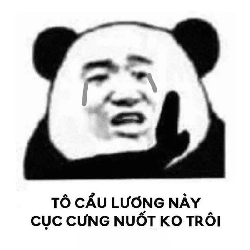 Bựa há mồm meme mèo cười mang lại tiếng cười sảng khoái Bựa há mồm meme mèo cười mang lại tiếng cười sảng khoái