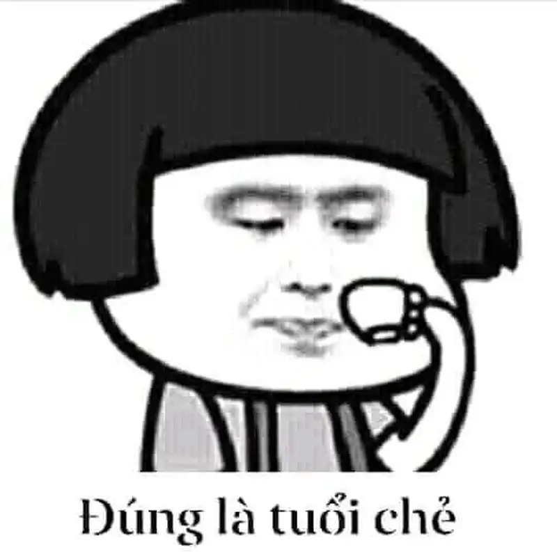 Bựa meme mèo bựa cho những ai yêu thích sự vui nhộn Bựa meme mèo bựa cho những ai yêu thích sự vui nhộn