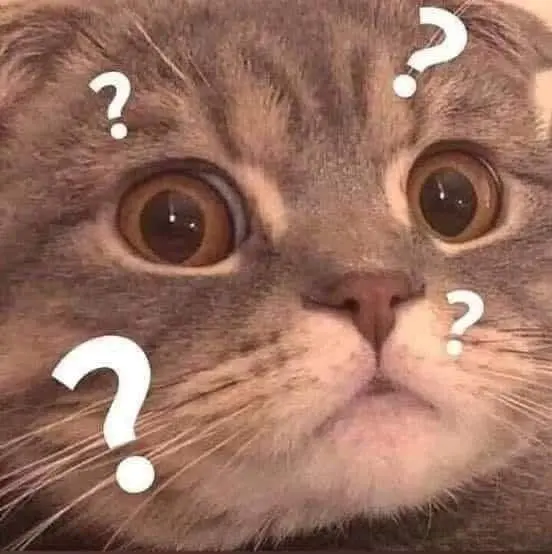 Meme mèo khóc bựa khiến bạn vừa buồn cười vừa thương cảm Meme mèo khóc bựa khiến bạn vừa buồn cười vừa thương cảm