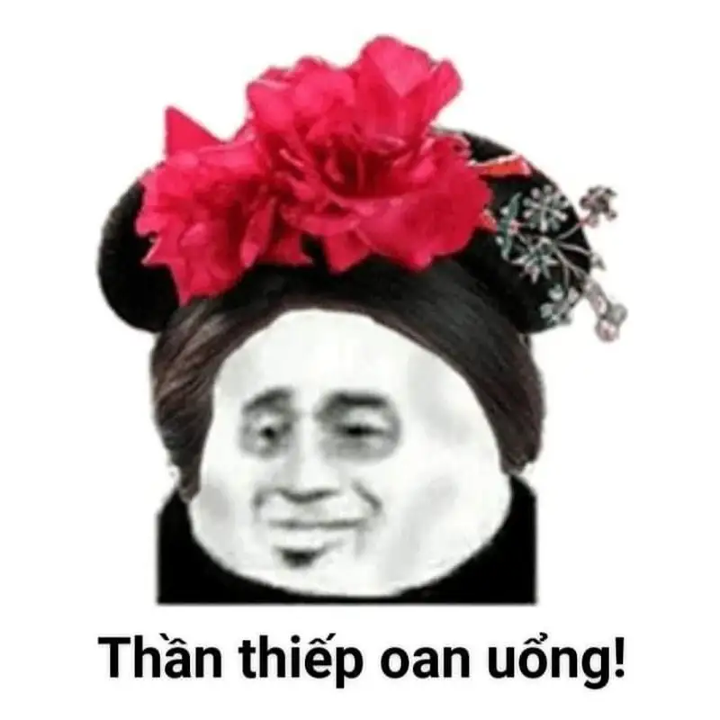 Ảnh avatar meme bựa dễ thương cho những ai yêu thích sự vui nhộn Ảnh avatar meme bựa dễ thương cho những ai yêu thích sự vui nhộn
