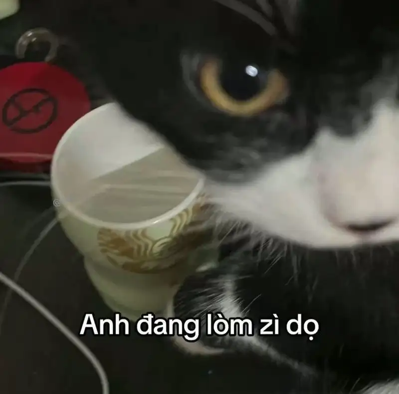 Chế bựa meme bựa ảnh chế khiến bạn không thể nhịn cười Chế bựa meme bựa ảnh chế khiến bạn không thể nhịn cười