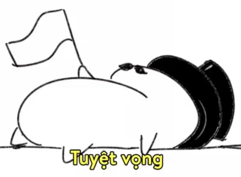 Avatar meme bựa cho những ai yêu thích sự hài hước Avatar meme bựa cho những ai yêu thích sự hài hước