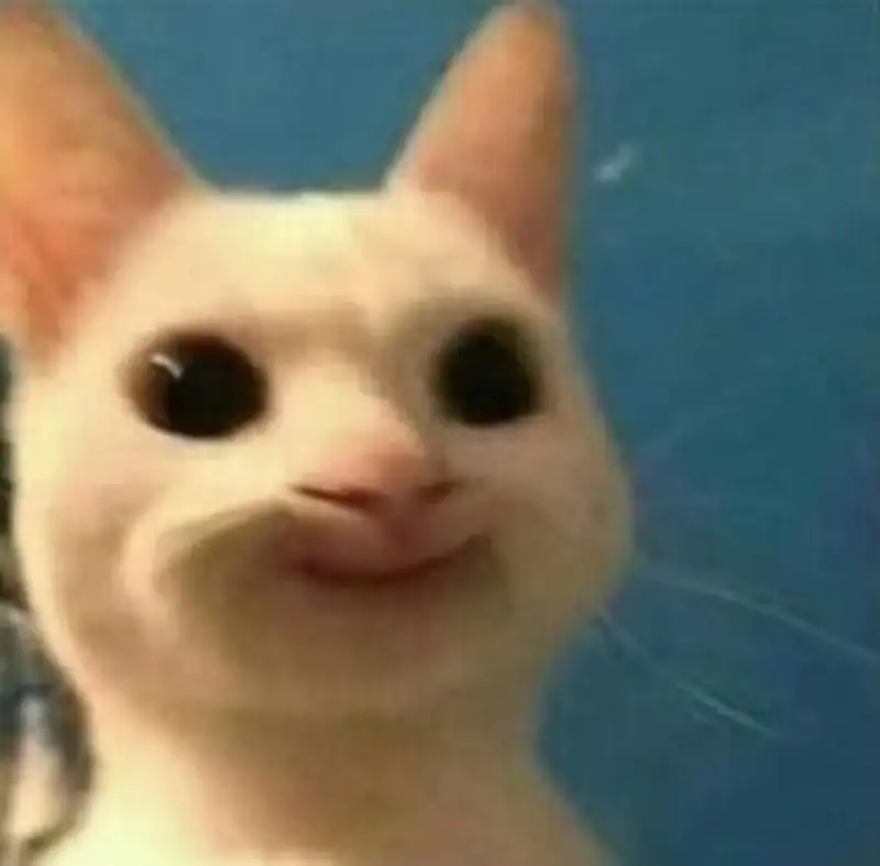 Ảnh meme bựa mang lại những khoảnh khắc vui vẻ Ảnh meme bựa mang lại những khoảnh khắc vui vẻ