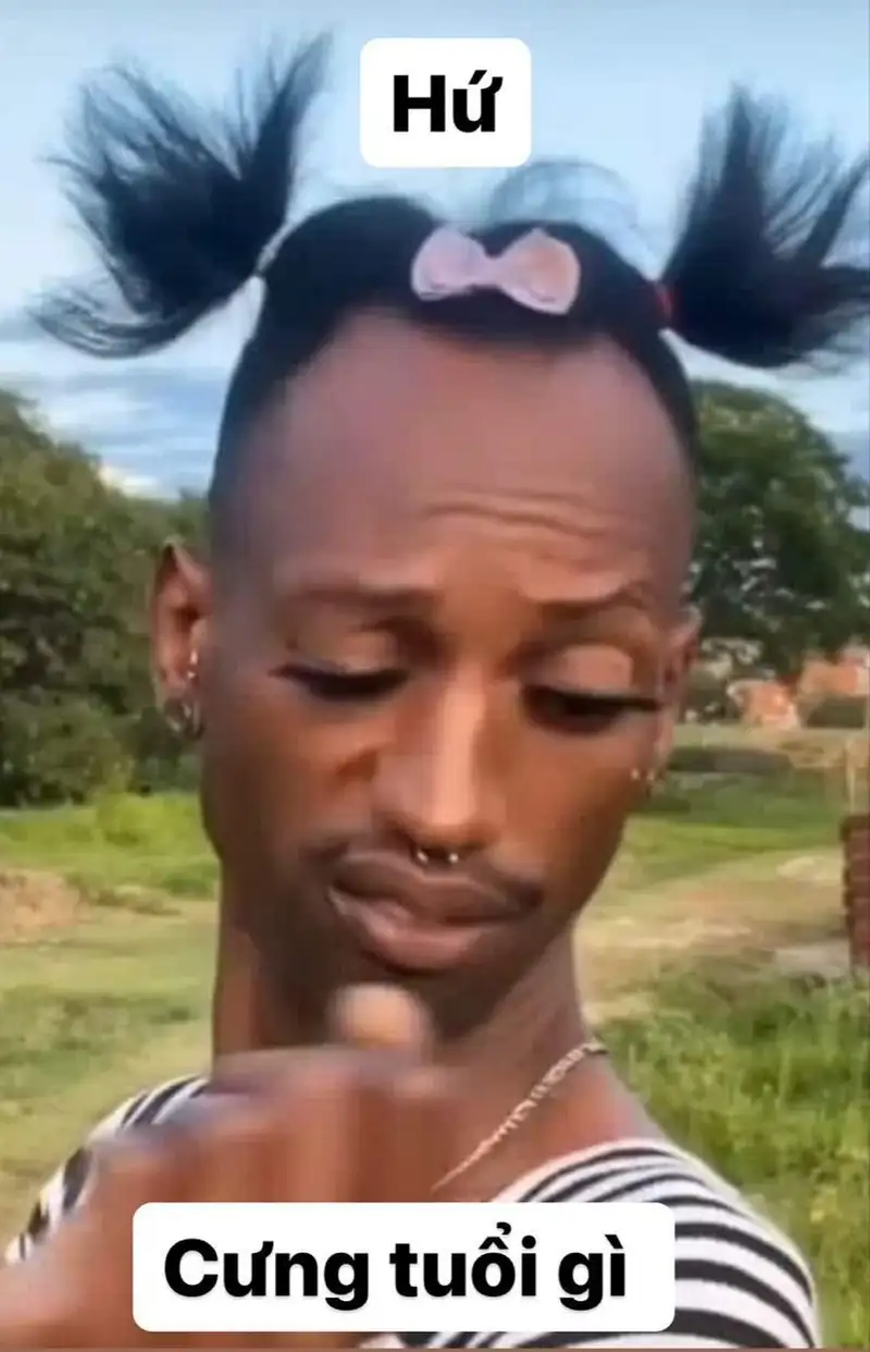Há mồm ảnh chế meme mèo bựa khiến bạn không thể nhịn cười Há mồm ảnh chế meme mèo bựa khiến bạn không thể nhịn cười