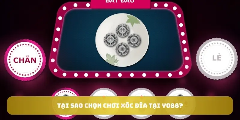 Tại sao chọn chơi xóc đĩa tại Yo88? Tại sao chọn chơi xóc đĩa tại Yo88?