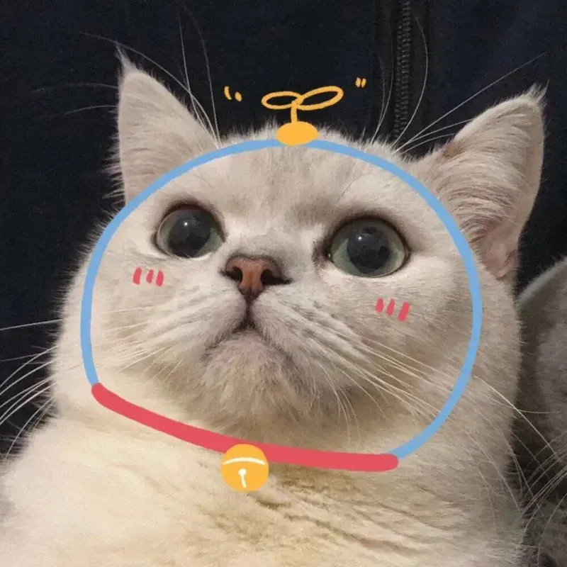 Avatar ngộ nghĩnh ảnh mèo cute cho bạn yêu thích sự đáng yêu Avatar ngộ nghĩnh ảnh mèo cute cho bạn yêu thích sự đáng yêu