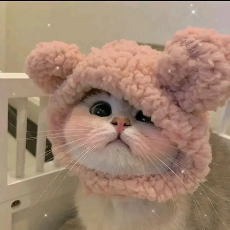 Ảnh đại diện đẹp cho nam cute phong cách hiện đại Ảnh đại diện đẹp cho nam cute phong cách hiện đại