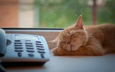Cách Giải Mã Giấc Mơ Để Tìm Con Số May Mắn Chơi Lô Đề Cách Giải Mã Giấc Mơ Để Tìm Con Số May Mắn Chơi Lô Đề