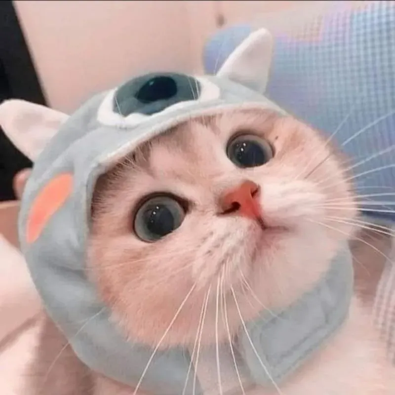 Avatar cute chibi nam tạo cảm giác vui tươi và ngộ nghĩnh Avatar cute chibi nam tạo cảm giác vui tươi và ngộ nghĩnh
