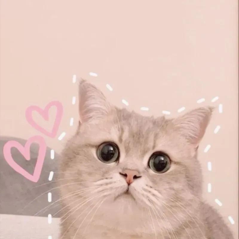 Hình avatar nữ cute chibi tạo cảm giác dễ thương và gần gũi Hình avatar nữ cute chibi tạo cảm giác dễ thương và gần gũi