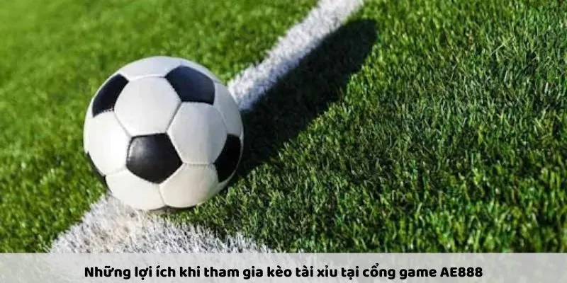 Những lợi ích khi tham gia kèo tài xỉu tại cổng game AE888