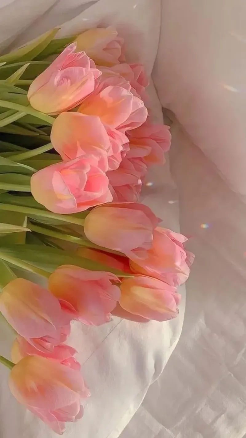 Hình nền đt đẹp chill giúp bạn nổi bật và thu hút sự chú ý Hình nền đt đẹp chill giúp bạn nổi bật và thu hút sự chú ý