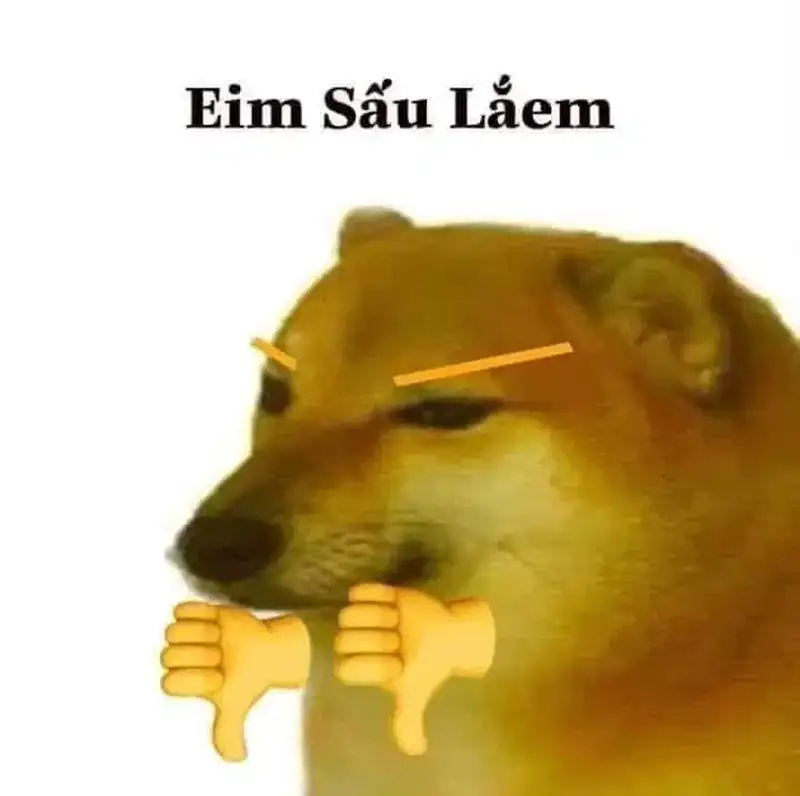 Con chó shiba meme dễ thương làm bừng sáng ngày của bạn Con chó shiba meme dễ thương làm bừng sáng ngày của bạn