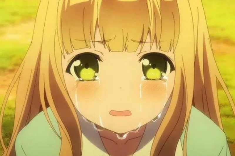 Avt anime meme là lựa chọn thú vị cho fan yêu thích Avt anime meme là lựa chọn thú vị cho fan yêu thích
