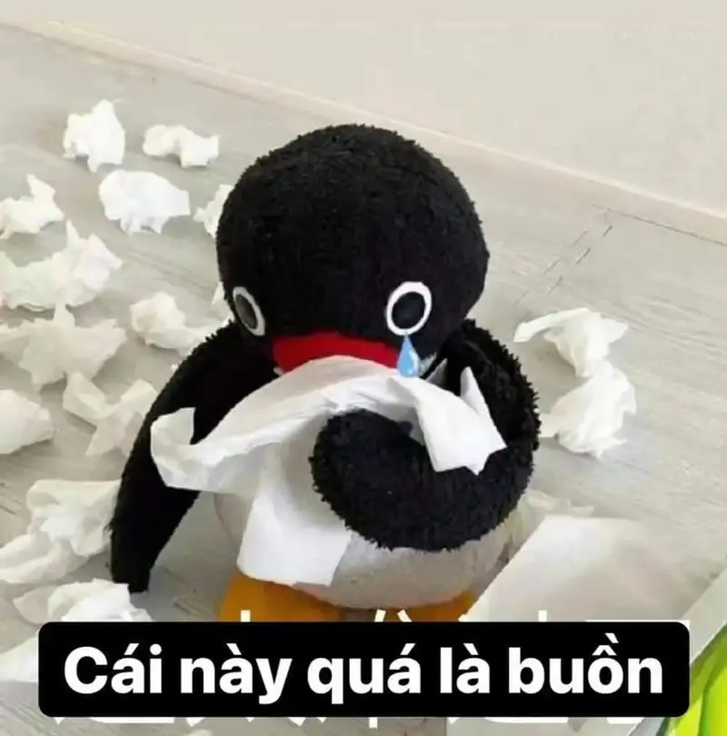 Meme mèo khóc thể hiện nỗi buồn của những chú mèo Meme mèo khóc thể hiện nỗi buồn của những chú mèo