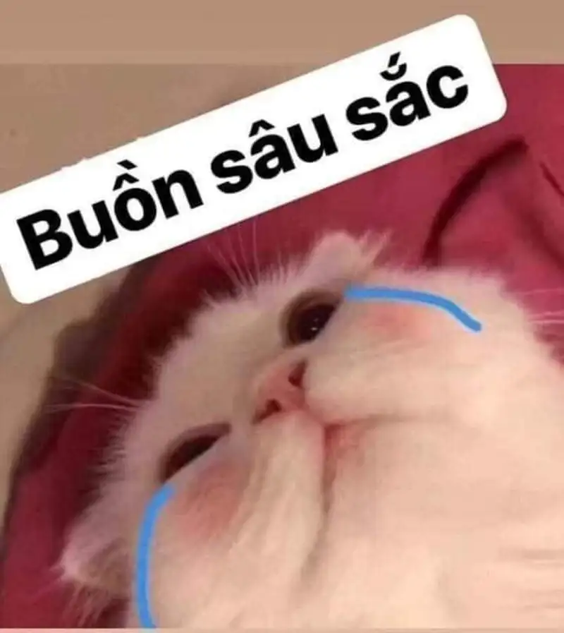 Hình vẽ meme khóc thể hiện cảm xúc chân thật Hình vẽ meme khóc thể hiện cảm xúc chân thật