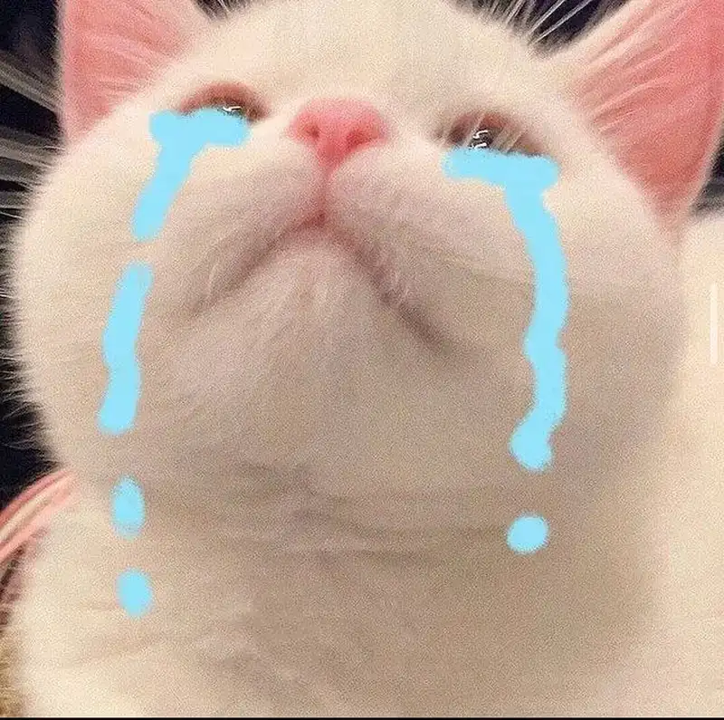 Meme mèo khóc là biểu tượng của nỗi buồn dễ thương Meme mèo khóc là biểu tượng của nỗi buồn dễ thương