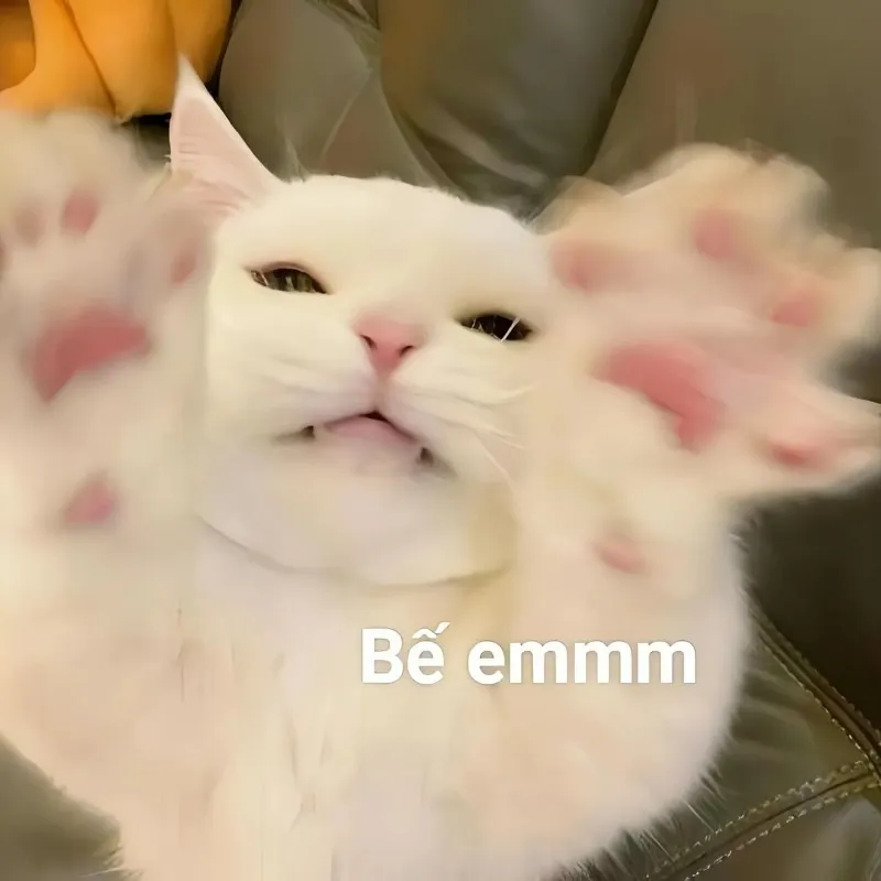 Meme buồn bã này là món quà tinh thần giúp bạn xoa dịu nỗi buồn trong lòng Meme buồn bã này là món quà tinh thần giúp bạn xoa dịu nỗi buồn trong lòng