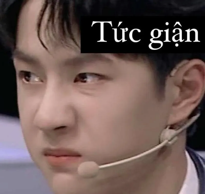 Meme tức giận cute luôn mang đến những khoảnh khắc hài hước Meme tức giận cute luôn mang đến những khoảnh khắc hài hước