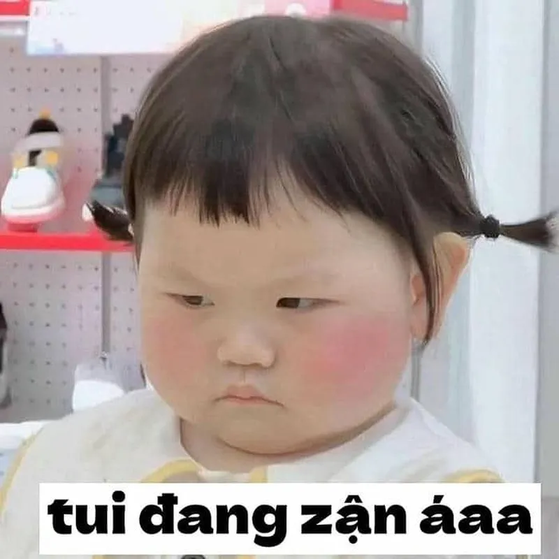 Ảnh meme mèo tức giận luôn thu hút sự chú ý của người hâm mộ Ảnh meme mèo tức giận luôn thu hút sự chú ý của người hâm mộ