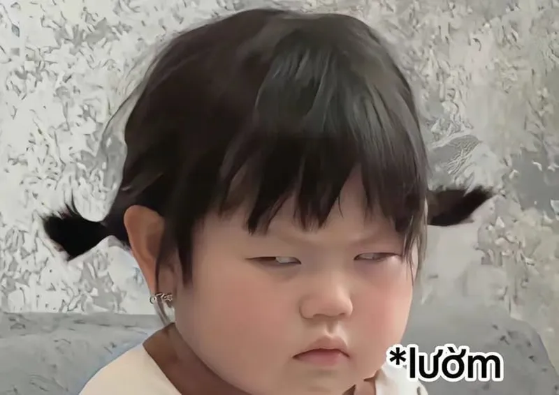 Meme mèo tức luôn khiến người xem thích thú với sự dễ thương Meme mèo tức luôn khiến người xem thích thú với sự dễ thương