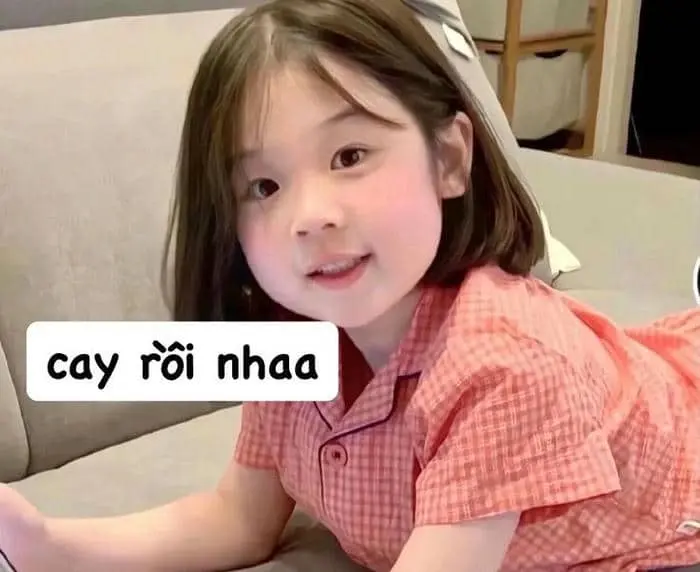 Meme Tom tức giận mang đến những tiếng cười sảng khoái Meme Tom tức giận mang đến những tiếng cười sảng khoái