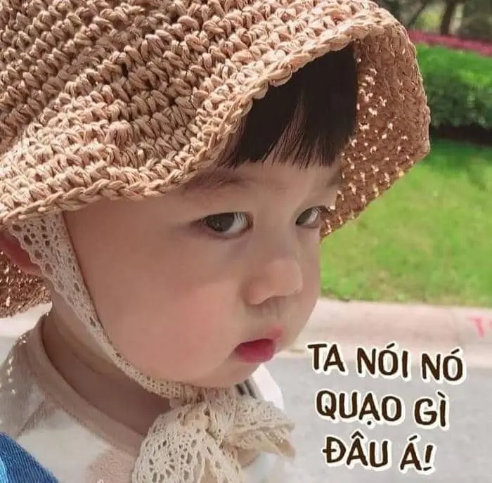 Tức giận meme mèo tức giận luôn khiến người xem thích thú Tức giận meme mèo tức giận luôn khiến người xem thích thú