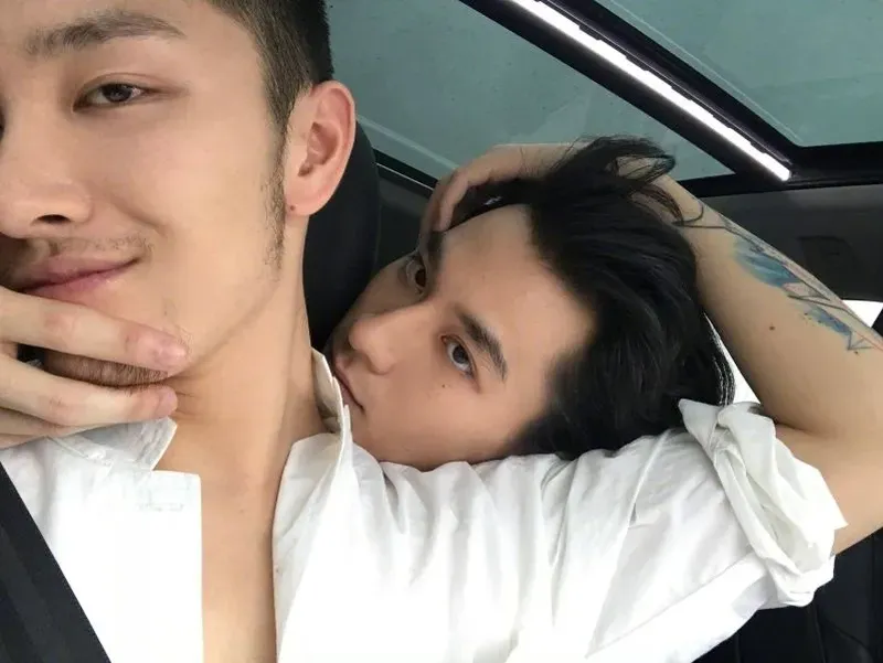 Ava mèo cute tạo cảm giác gần gũi và thân thiện Ava mèo cute tạo cảm giác gần gũi và thân thiện