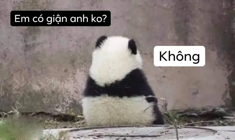Dễ thương icon ảnh meme cute giúp bạn thể hiện phong cách Dễ thương icon ảnh meme cute giúp bạn thể hiện phong cách