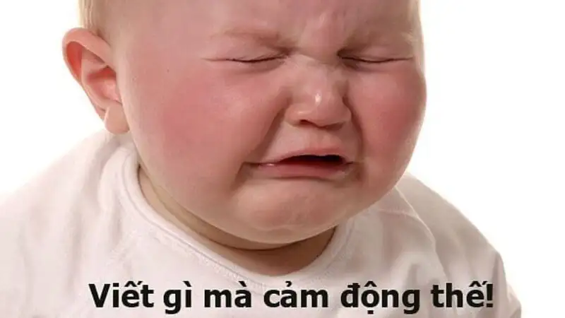 Ảnh hài meme chó cute giúp bạn thư giãn và cười thoải mái Ảnh hài meme chó cute giúp bạn thư giãn và cười thoải mái