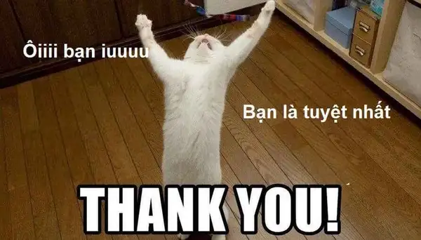 Hoa hồng cảm ơn meme gửi gắm tình cảm chân thành đến mọi người Hoa hồng cảm ơn meme gửi gắm tình cảm chân thành đến mọi người
